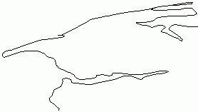 lines2points